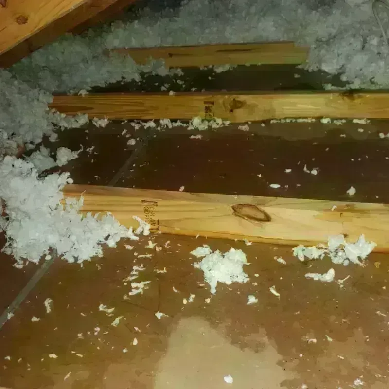 Attic Water Damage in Lakewood, NY