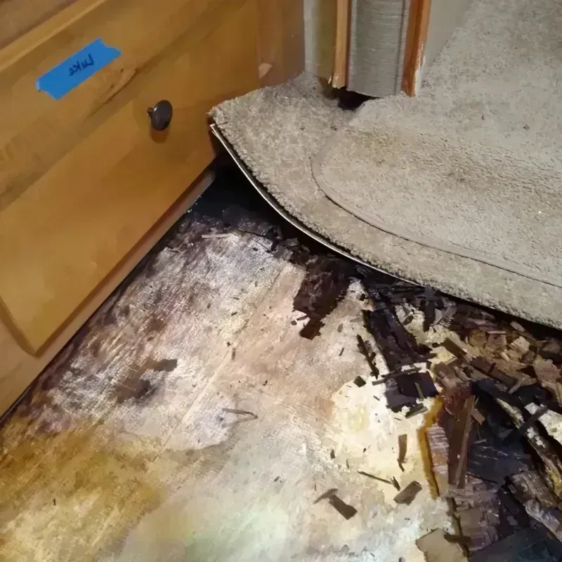 Wood Floor Water Damage in Lakewood, NY